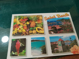 444 //  SAINT BARTHELEMY - Saint Barthelemy