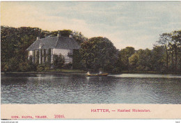 Hattem Kasteel Molecaten WP0852 - Hattem