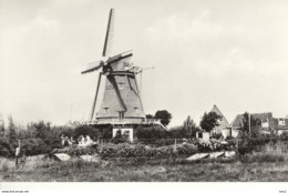 Terschelling Formerum Molen 4993 - Terschelling