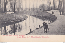 Winschoten Wandelbosch Hond Groote Vijver 5464 - Winschoten