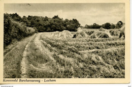 Lochem Korenveld Barchemseweg 5541 - Lochem