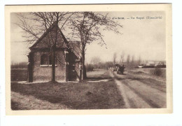 Wintham   -   De Kapel  (Haasdonk) - Bornem