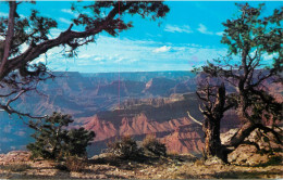 United States > AZ - Arizona > Grand Canyon - Gran Cañon
