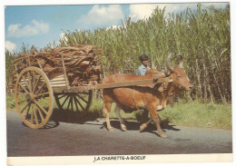 CPM , Ïle Maurice , N°110 Charette A Boeuf - Maurice