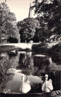 CPA - France - 85 - FONTENAY LE COMTE - Le Jardin Public - Les Cygnes - Carte Postale Ancienne - Fontenay Le Comte