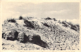 BELGIQUE - ST IDESBALD - La Dune Aride - Carte Postale Ancienne - Sonstige & Ohne Zuordnung