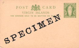 BRITISH VIRGIN ISLANDS - POSTCARD HALF PENNY -SPECIMEN- / *2004 - Britse Maagdeneilanden