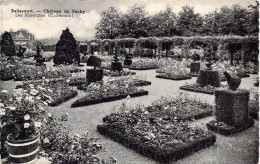 BELGIQUE - BELLECOURT - Château Du Pachy - Les Roseraies - Carte Postale Ancienne - Andere & Zonder Classificatie