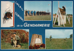 Gramat Chenil Central De La Gendarmerie - Gramat