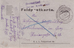 Austria WWI. Disinfected P.O.W. Field PC. 1917.XI.6. To Graz , Desinfiziert  KRIEGSGEFAN - Santé