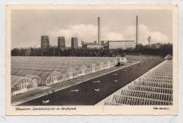 2964 WIESMOOR, Gewächshäuser Und Kraftwerk, 1952 - Wiesmoor