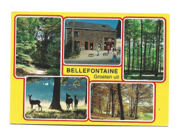 Bièvre Bellefontaine Photo Carte Namur Htje - Bièvre