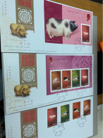Hong Kong Stamp FDC 2007 New Year Pig Zodiac X 3 Covers Set - FDC