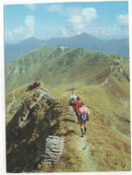 Am Stubnerkogel Bei Badgastein  (Österreich) -  Jahrweiser 'Deutsches Wandern 1965' - Bad Gastein