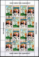 2006 - FOOTBALL  - FIFA -  TURKISH CYPRIOT STAMPS - USED SHEET - Gebruikt