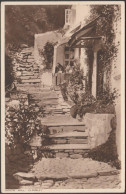 North Hill, Clovelly, Devon, C.1930s - Ashton-Ellis Postcard - Clovelly