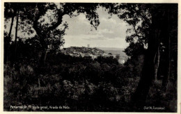 PENAMACÔR - Vista Geral, Tirada Da Mata - PORTUGAL - Castelo Branco