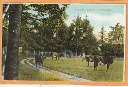 Prince Edward Island Canada Old Postcard - Otros & Sin Clasificación