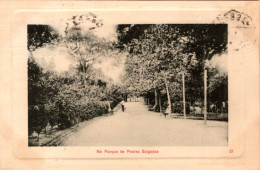 PEDRAS SALGADAS - No Parque - PORTUGAL - Vila Real
