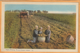 Prince Edward Island Canada Old Postcard - Sonstige & Ohne Zuordnung