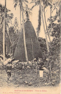 FRANCE - NOUVELLE CALEDONIE - Tribu De Gélinis - Editeur W H L - Carte Postale Ancienne - Nouvelle Calédonie