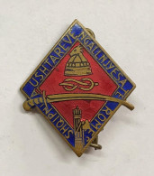Campagna In Albania Medaglia Spilla Smaltata WW2  Ae Con Smalti Edizione Boeri Roma Gr. 4,01  E.1119 - Monarchia/ Nobiltà
