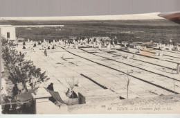 YB /JUDAÏCA . TUNISIE . Tunis . Le Cimetière Juif ( Rare Vue ) - Giudaismo