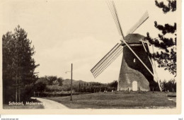 Schoorl Molen 6182 - Schoorl