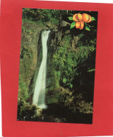 ANTILLES---GRENADA---Lower Concord Falls--voir 2 Scans - Grenada