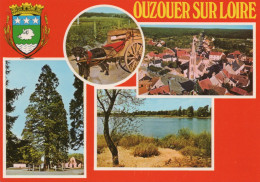 Ouzouer Sur Loire - Attelage De  Chiens - Multivues - Ouzouer Sur Loire