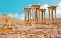 Syria Syrie - Palmyra - Syrie
