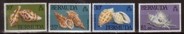 BERMUDA - Faune, Coquillages, Shells - N° 409-412 - 1982 - MNH - Bermuda