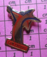 813F Pin's Pins / Beau Et Rare / SPORTS / CLUB GYMNASTIQUE GYM CHAUNY - Gymnastique