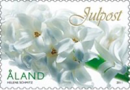 Aland Islands Åland Finland 2011 Christmas Flowers Stamp Mint - Nuevos