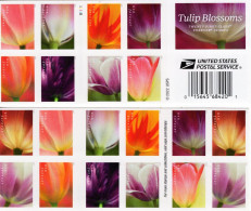 USA - 2023 - Tulip Blossoms - Mint Self-adhesive Stamp Booklet - Ongebruikt