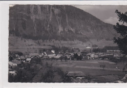 Grandvillard, Vue Générale, Ferme Au Premier Plan. Carte-photo - Grandvillard