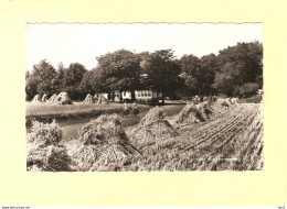 Lochem Oogsttijd Barchemseweg RY33663 - Lochem