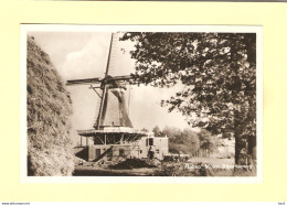 Holten Molen Aan De Rijssenseweg 1955 RY35359 - Holten