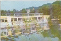 NORTH KOREA - La Maison De Cure De Djoueul - Sanatorio De Zuul - Korea (Nord)