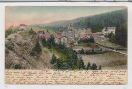 0-6303 ELGERSBURG, Todenstein Und Villenviertel, 1905 - Elgersburg