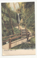 UK England Isle Of Wight Shanklin Chine Bridge Waterfall J Welch Vintage Postcard C1910 - Shanklin