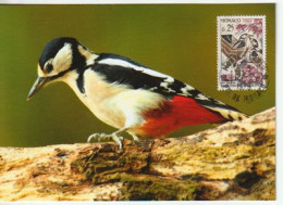 Pic épeiche/ Great Spotted Woodpecker. MONACO. Carte-maximum , Edition Natuurlijkefoto - Spechten En Klimvogels