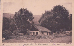 Montricher VD, La Moutonnerie (5.10.1909) Pli D'angle - Montricher