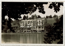  Hertenstein Schloss  Hotel 2109 - Stein