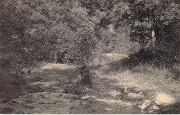 CPA - BELGIQUE - VRESSE - Le Vicinal D'Houdremont - Vallée De Nafrallure - CARTE POSTALE ANCIENNE - Vresse-sur-Semois