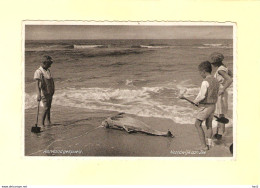 Noordwijk Aan Zee Aangespoelde Vis 1933 RY36281 - Noordwijk (aan Zee)