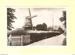 Putten Molen 't Hart Ca. 1948 RY36268 - Putten