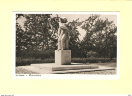 Renesse Het Monument RY37630 - Renesse