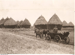 Dwingeloo Unieke Foto Boerenleven Oogst 1937KE4393 - Dwingeloo