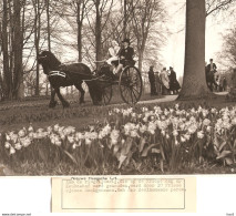 Persfoto Lisse Keukenhof Ringrijden Sjees KE4327 - Lisse